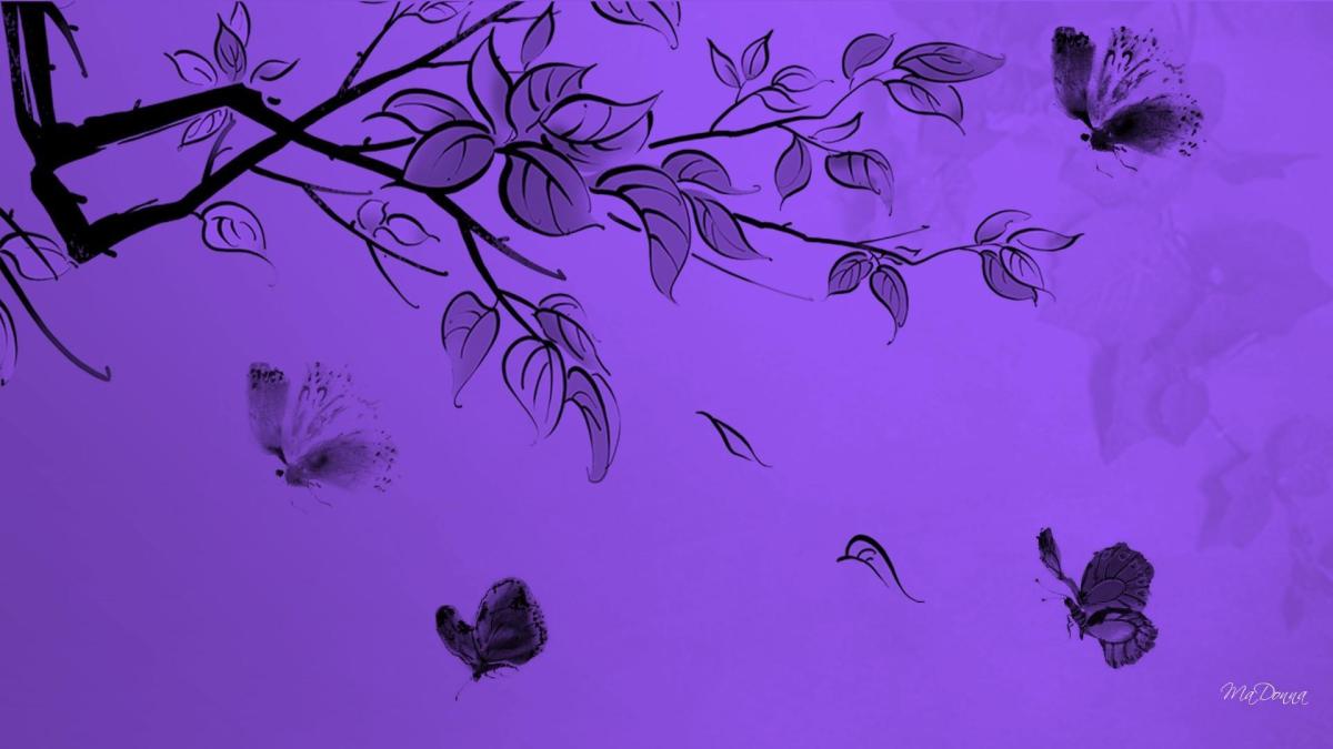 Wallpaper kupu kupu aesthetic