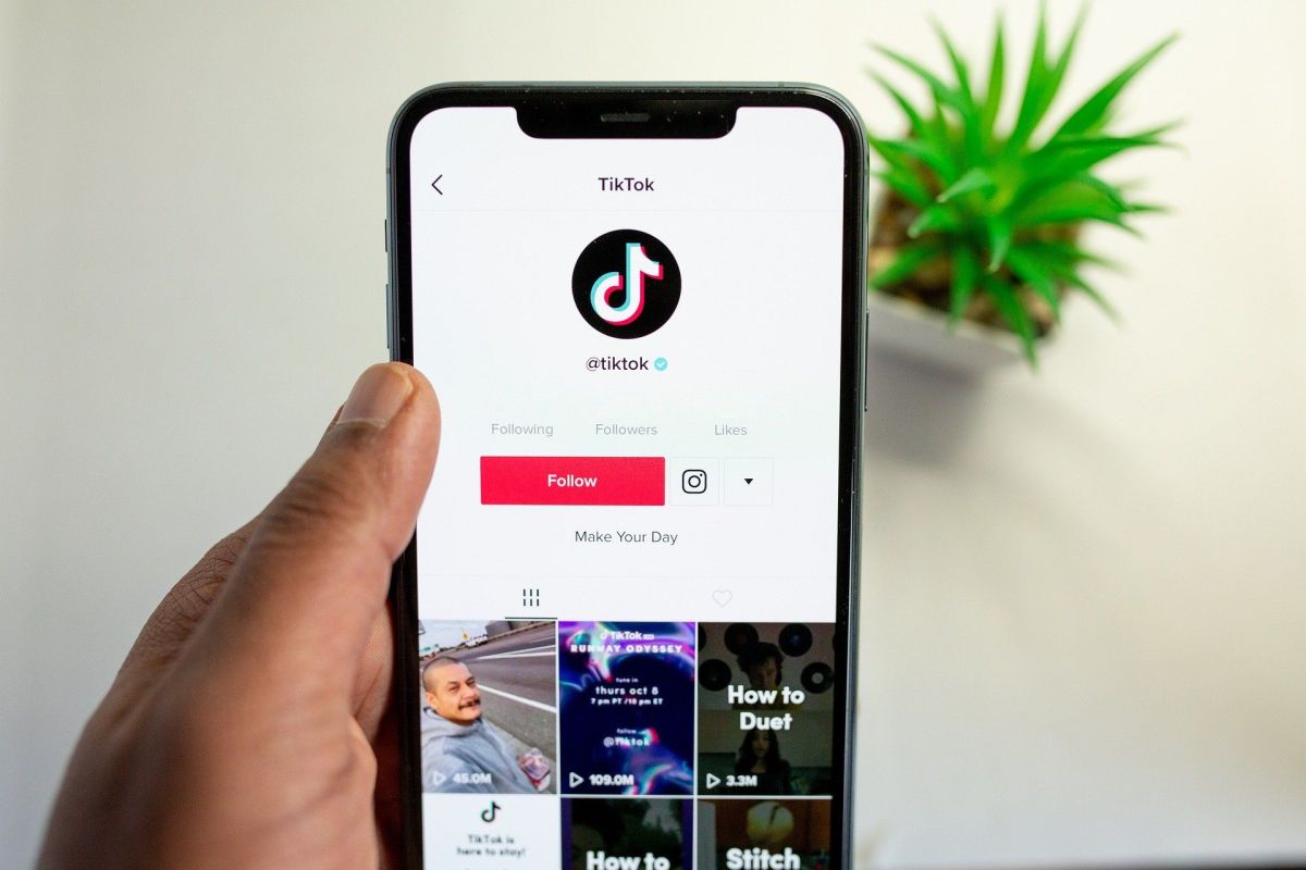 Download video tiktok tanpa watermark di telegram