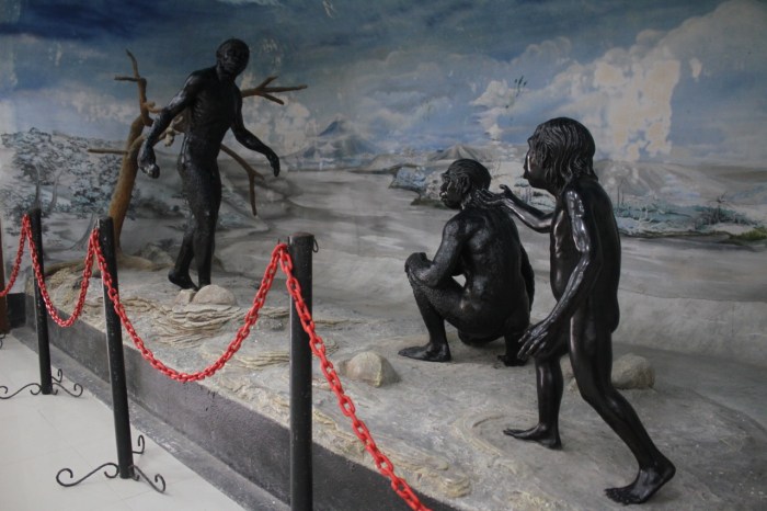 Situs trinil tempat penemuan homo erectus dan ekspresi seni tertua manusia purba