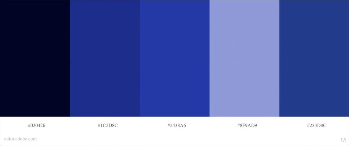 Kode warna biru pas foto yang benar