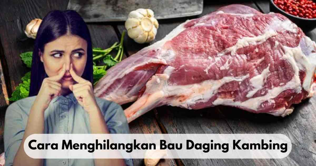 Rempah daging kambing suryamalang efektif bau sampai intip menghilangkan mengolahnya