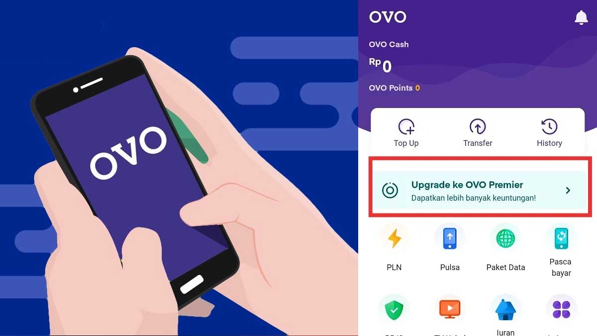 Ovo dapat akun agar rekening melakukan sesama