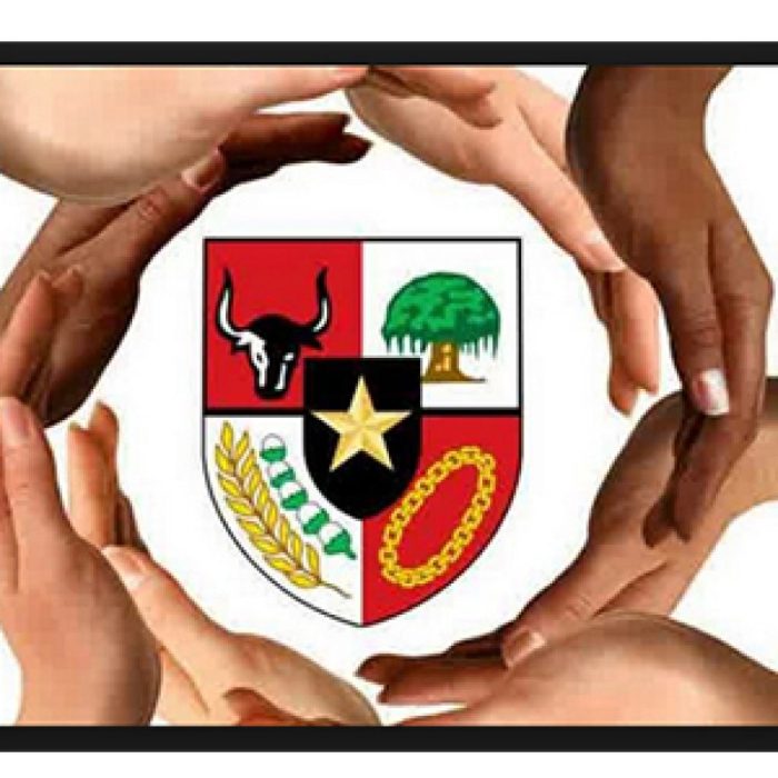 Pancasila bidang implementasi