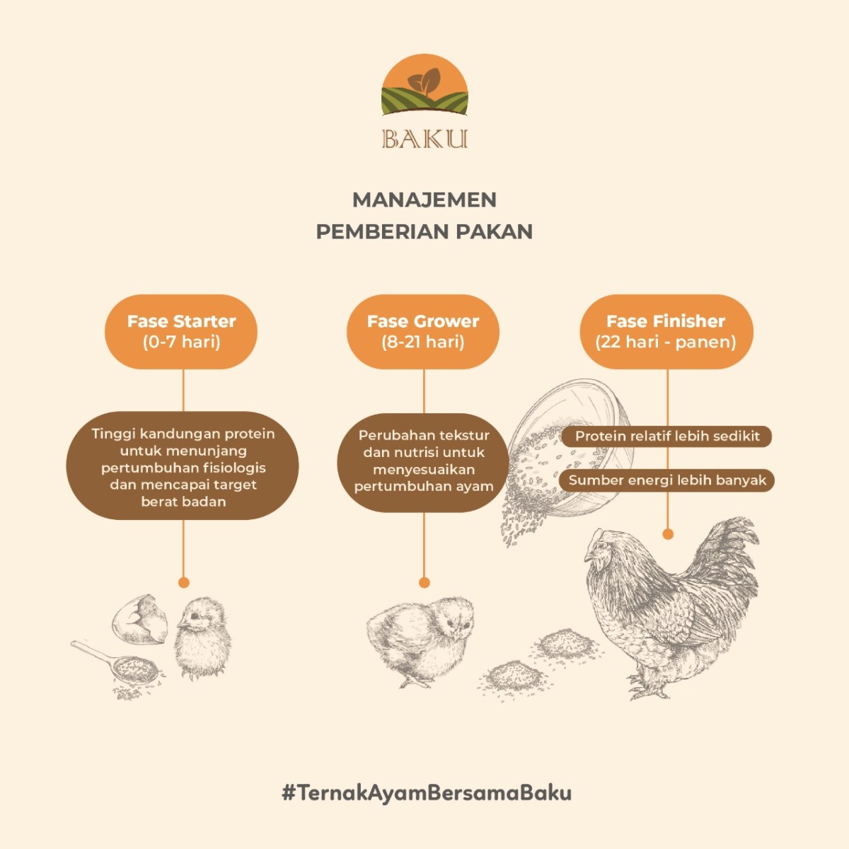 Ayam pakan kebutuhan kampung asli hari umur berdasarkan lain yaitu menurut