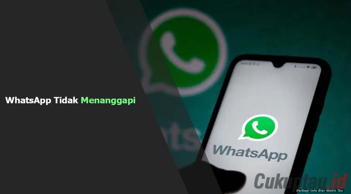 Kenapa whatsapp tidak menanggapi