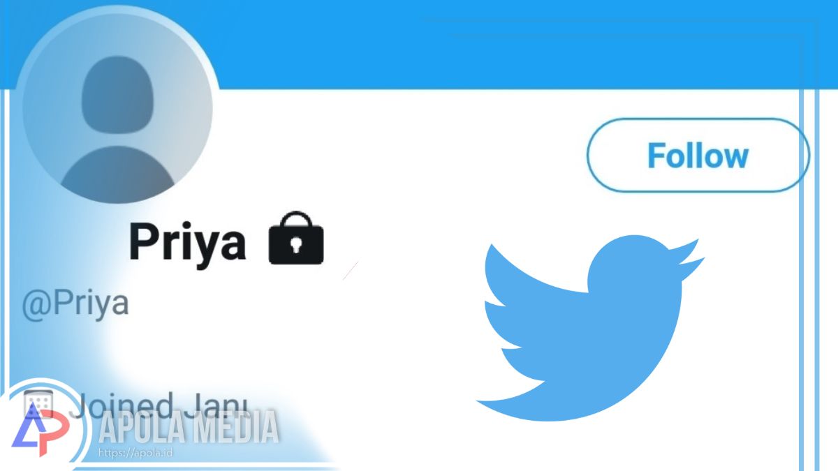 Cara melihat akun twitter yang di private tanpa follow