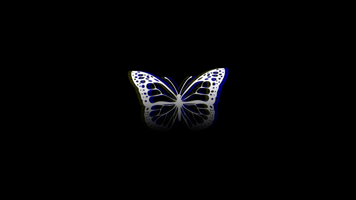 Wallpaper kupu kupu aesthetic