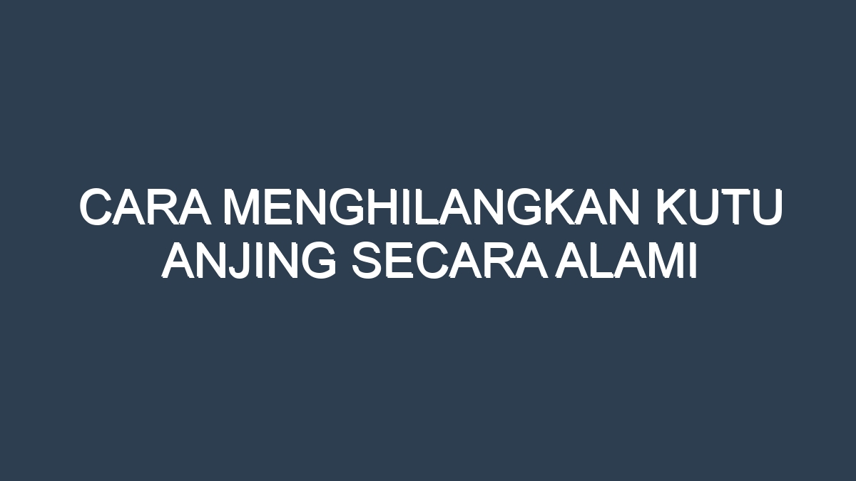Kutu rambut menghilangkan alami manusia kepala serang cepat darah parasit berkembang biak latinnya humanus hidup golongan merugikan pediculus dikenal