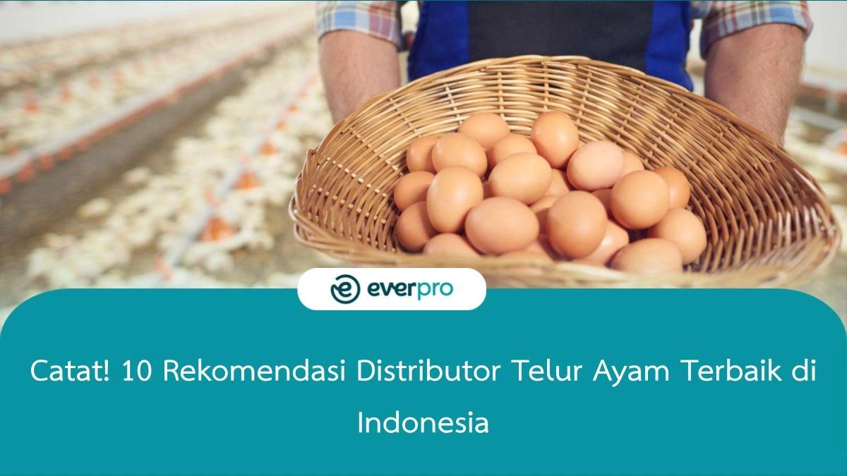 Distributor telur ayam terdekat
