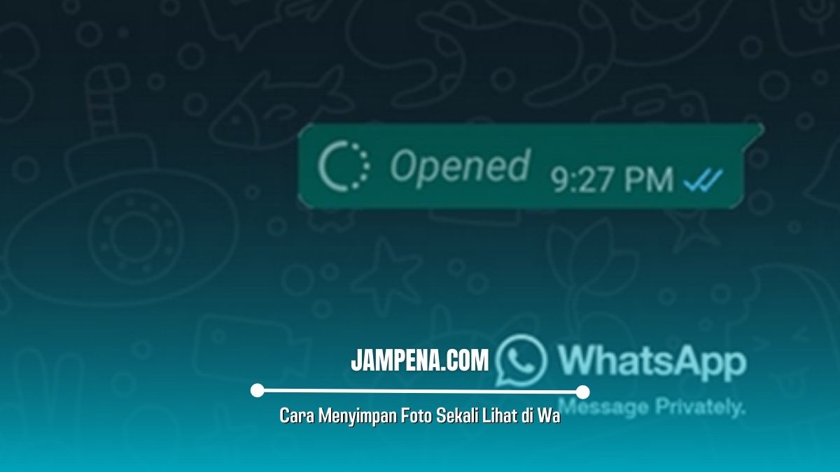 Cara menyimpan foto sekali lihat di wa