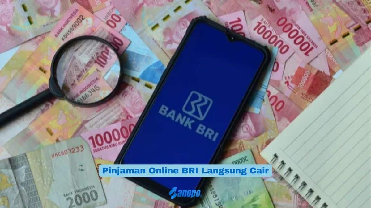 Pinjaman online bri langsung cair
