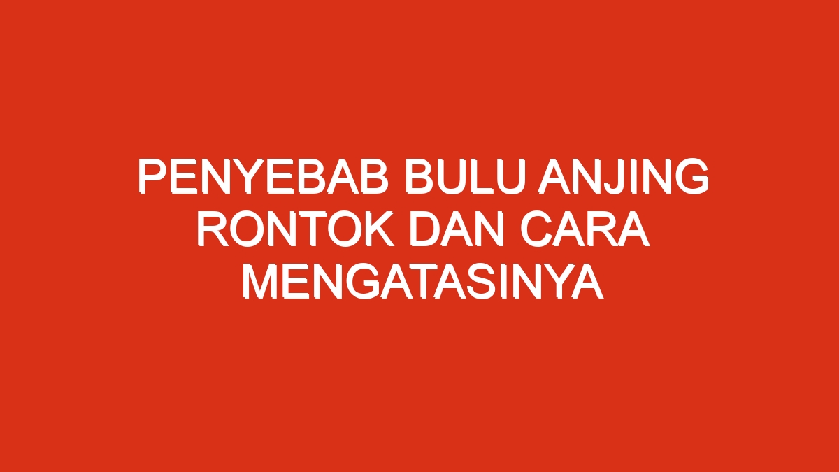 Penyebab bulu anjing rontok dan cara mengatasinya