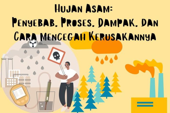 Apa manfaat air bagi kehidupan makhluk hidup di bumi