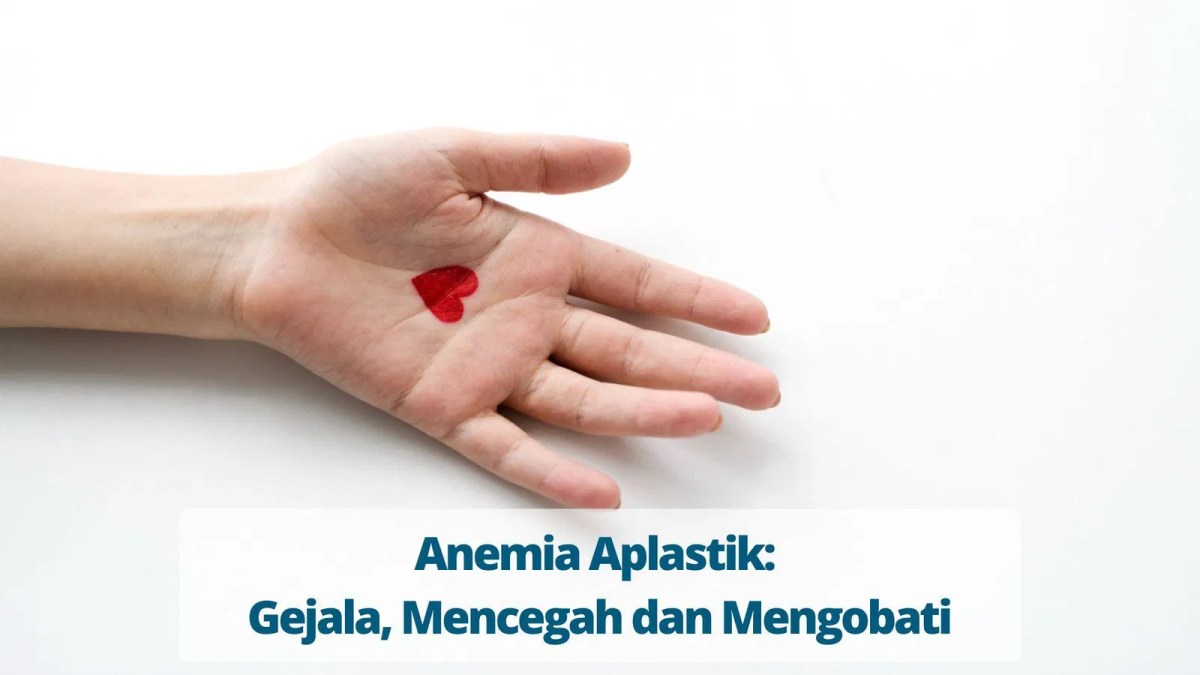 Cara mengobati anemia aplastik