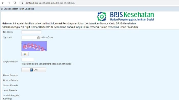 Kesehatan bpjs aktif cek infografik kompas bhayu tamtomo akbar