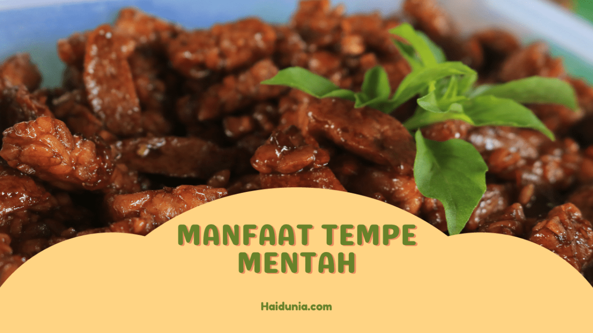 Manfaat makan tempe mentah