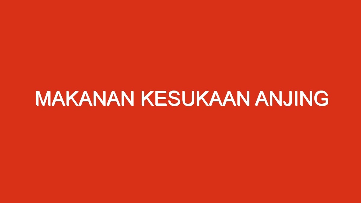 Makanan kesukaan anjing